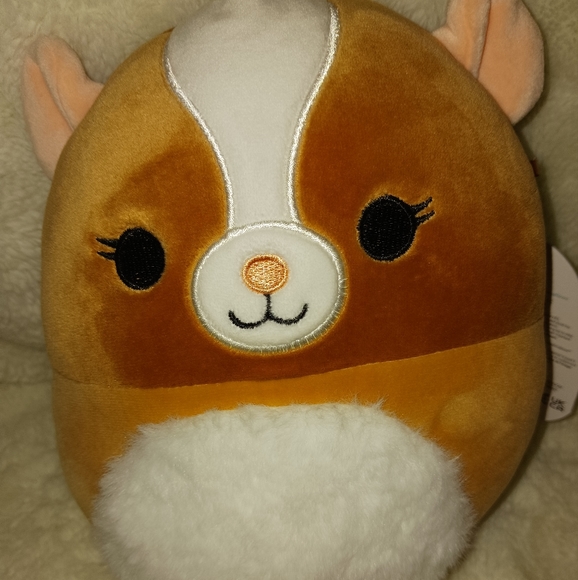 Squishmallows Toys Garrett The Guinea Pig Squishmallow Poshmark